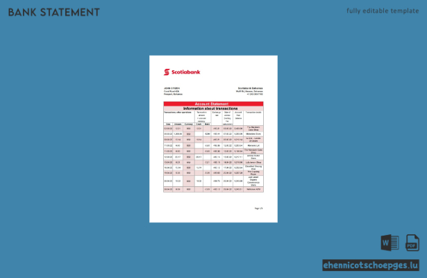 Beispiel-Excel-Vorschau eines Kontoauszugs der Bahamas Scotiabank